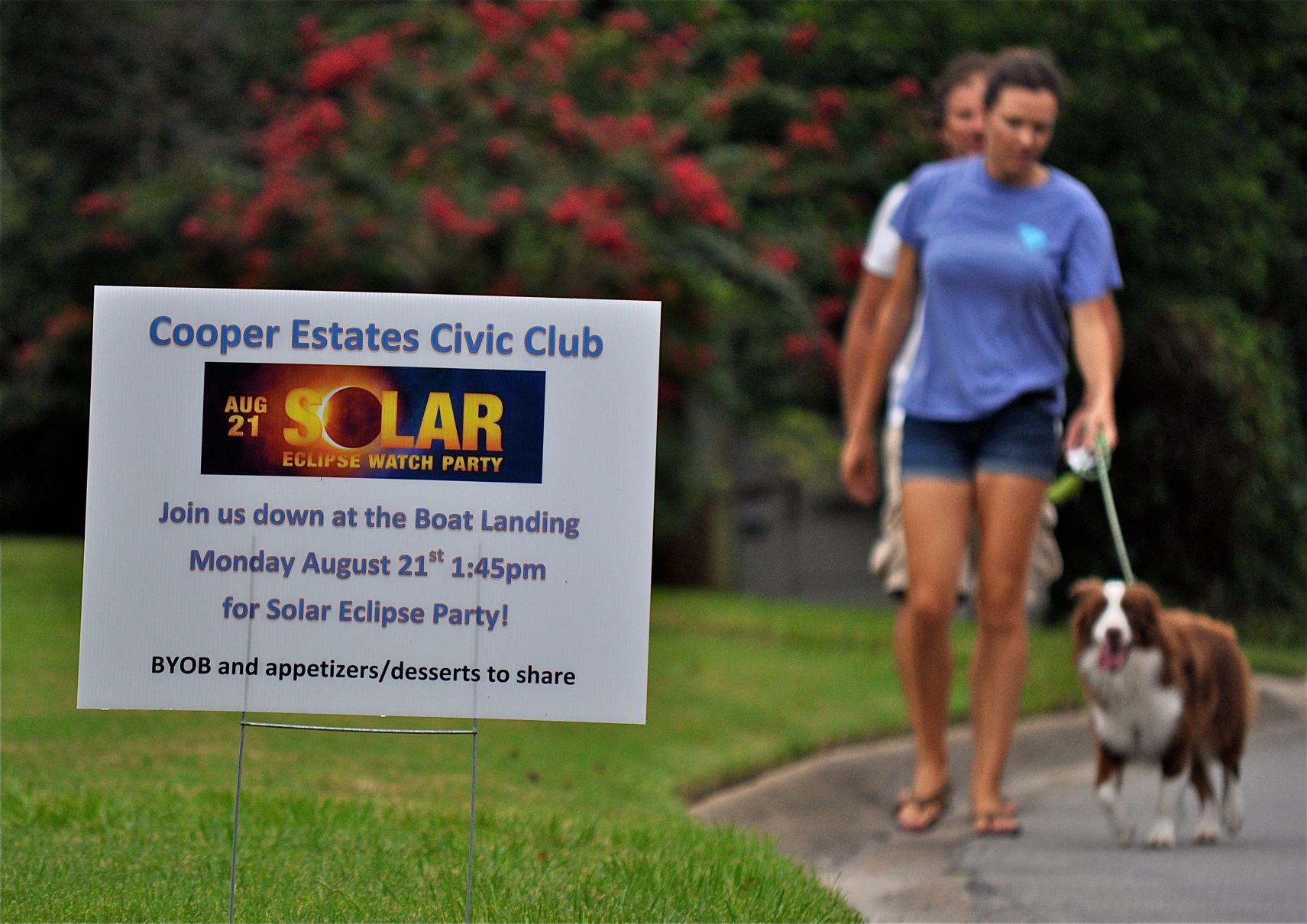 Neighborhood solar party